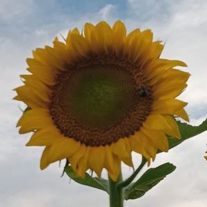 Meet your Posher, Arlene